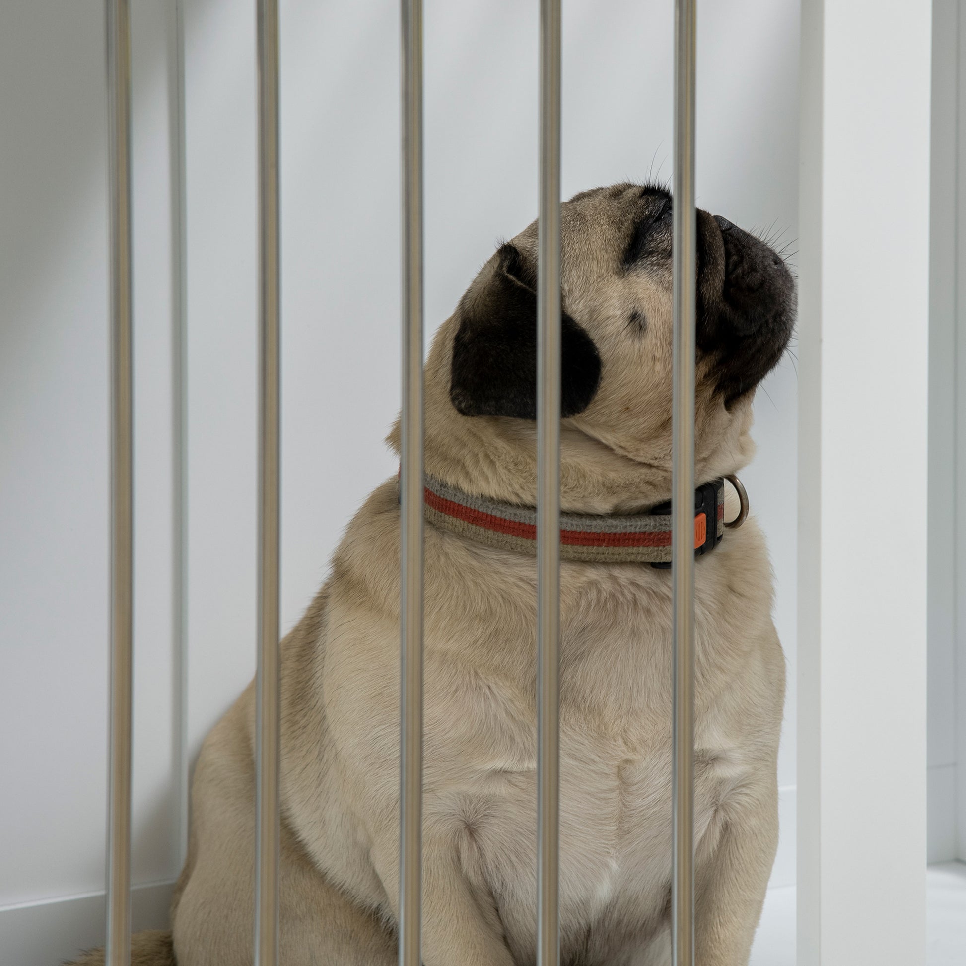 Pawhut Jaula Para Perros Medianos 2 En 1 Mesa Auxiliar Con 2 Puertas Blanco_3