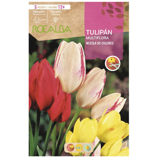 Mistura para bolbos de tulipa multiflora 5 unidades Rocalba