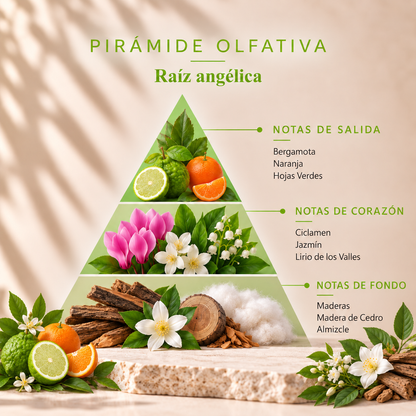 Ambientador Pulverizador Raíz Angélica Origins SYS Aromas 100 ml | Aroma Herbal y Balsámico | Refrescante_3