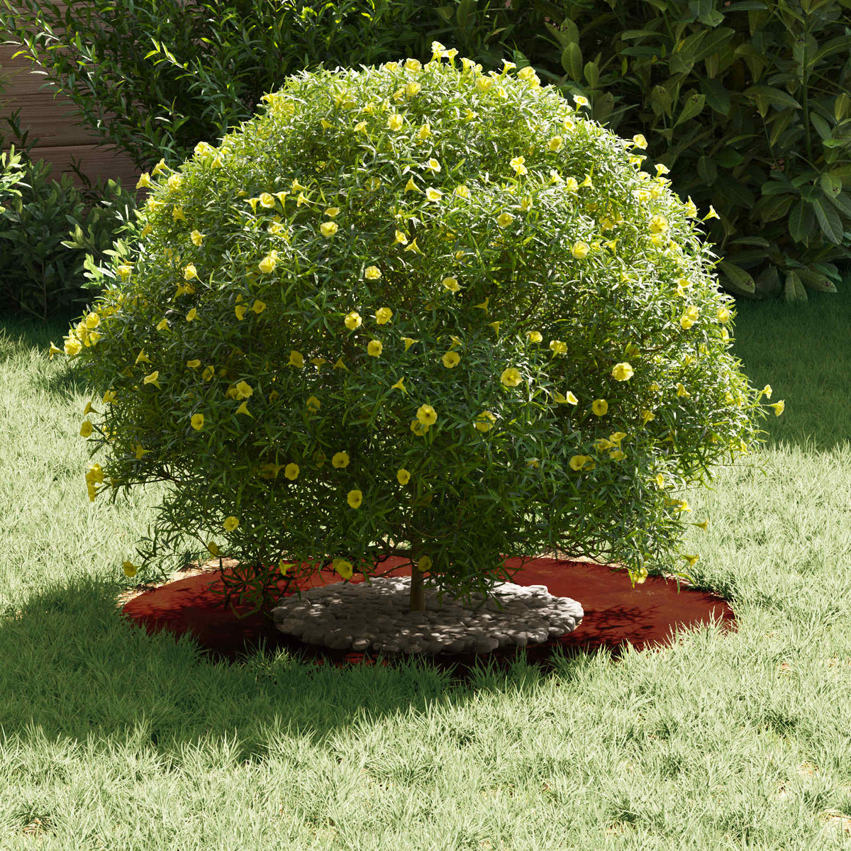 Adecuado Para Anillo De Árbol Plano Oxidado Ø30/60 Cm_2