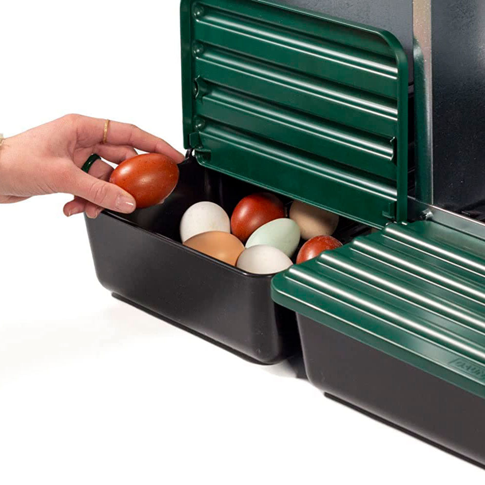 Ponedero Eco 2 Huecos Con Escamoteador | Recoge Huevos Más Limpios | Nido Para 8-10 Gallinas_2