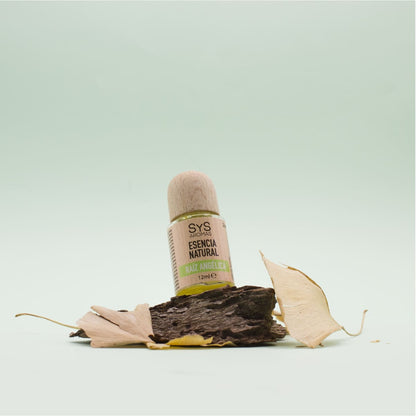 Esencia Aromática Raíz De Angélica 12 Ml | Aroma Herbal Y Terroso | Fragancia Natural | Perfume Concentrado_1