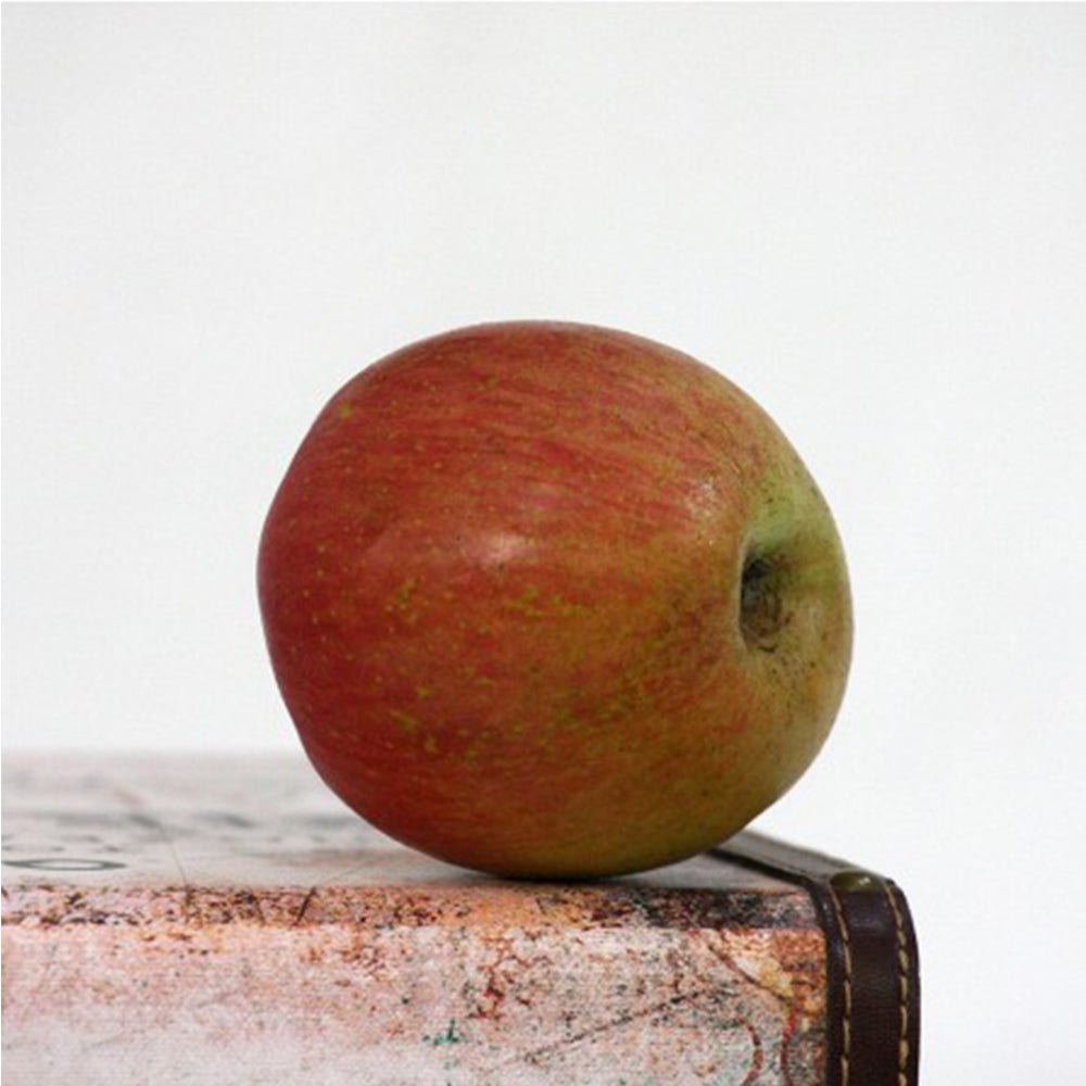 Manzana Fuji Del Bierzo. Caja 10 Kg_2