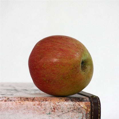 Manzana Fuji Del Bierzo. Caja 10 Kg_2