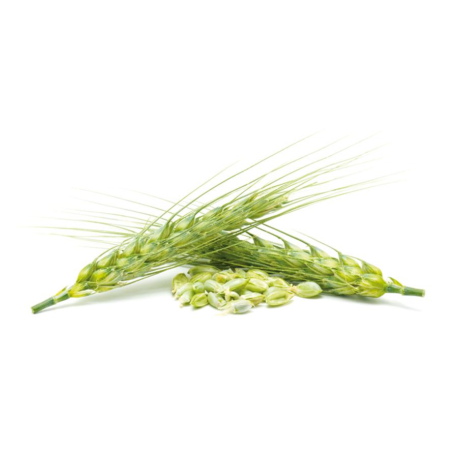 Levedura de Cerveja El Granero, 500 Comprimidos 400 mg