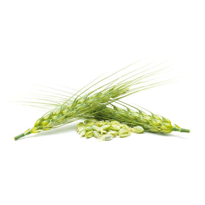 Levedura de Cerveja El Granero, 500 Comprimidos 400 mg