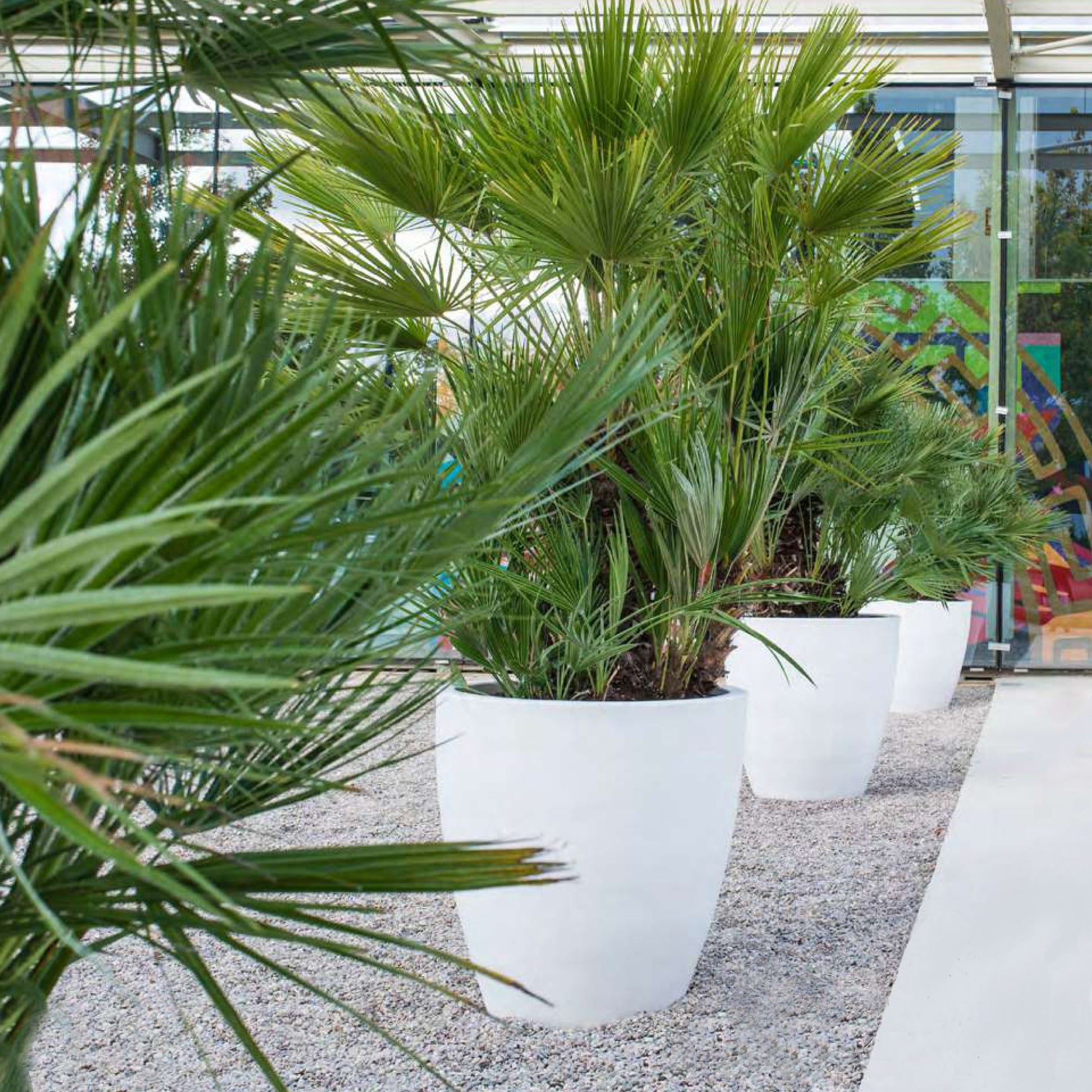 Macetero De Polietileno Por Rotomoldeo Color Antracita 40x40 Cm