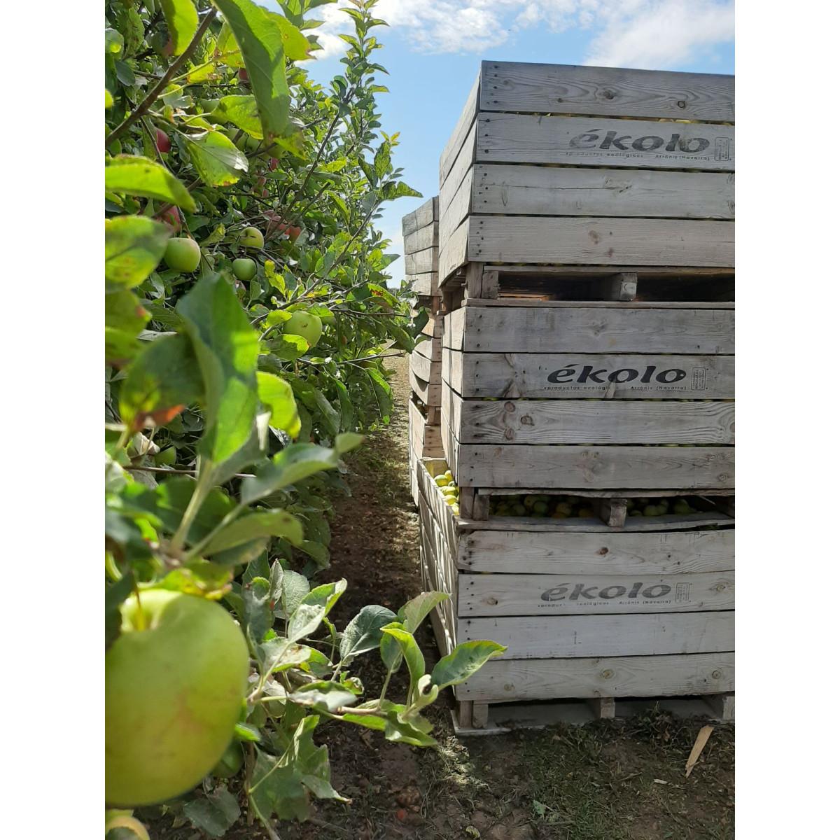 Elaborado com Maçã e Kiwi Biológicos sem adição de açúcar Ékolo 700 g