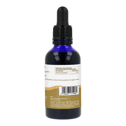 Extrato de Harpagophytum Planeta Huerto 50 ml.
