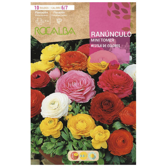 Mini bolbo de ranúnculo tomer mix 10 unidades Rocalba