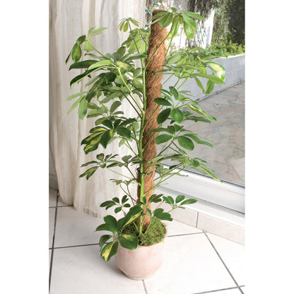 Estaca de coco natural Ø 45 mm Nortene 120 cm