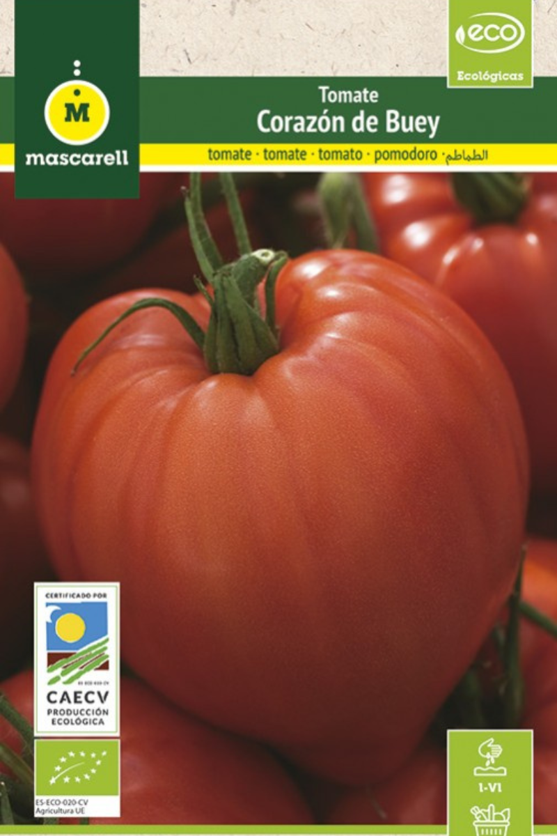Tomate Corazón De Buey Ecológico Certificado – Semillas Bio Para Huerto Urbano 0,5 gr_0