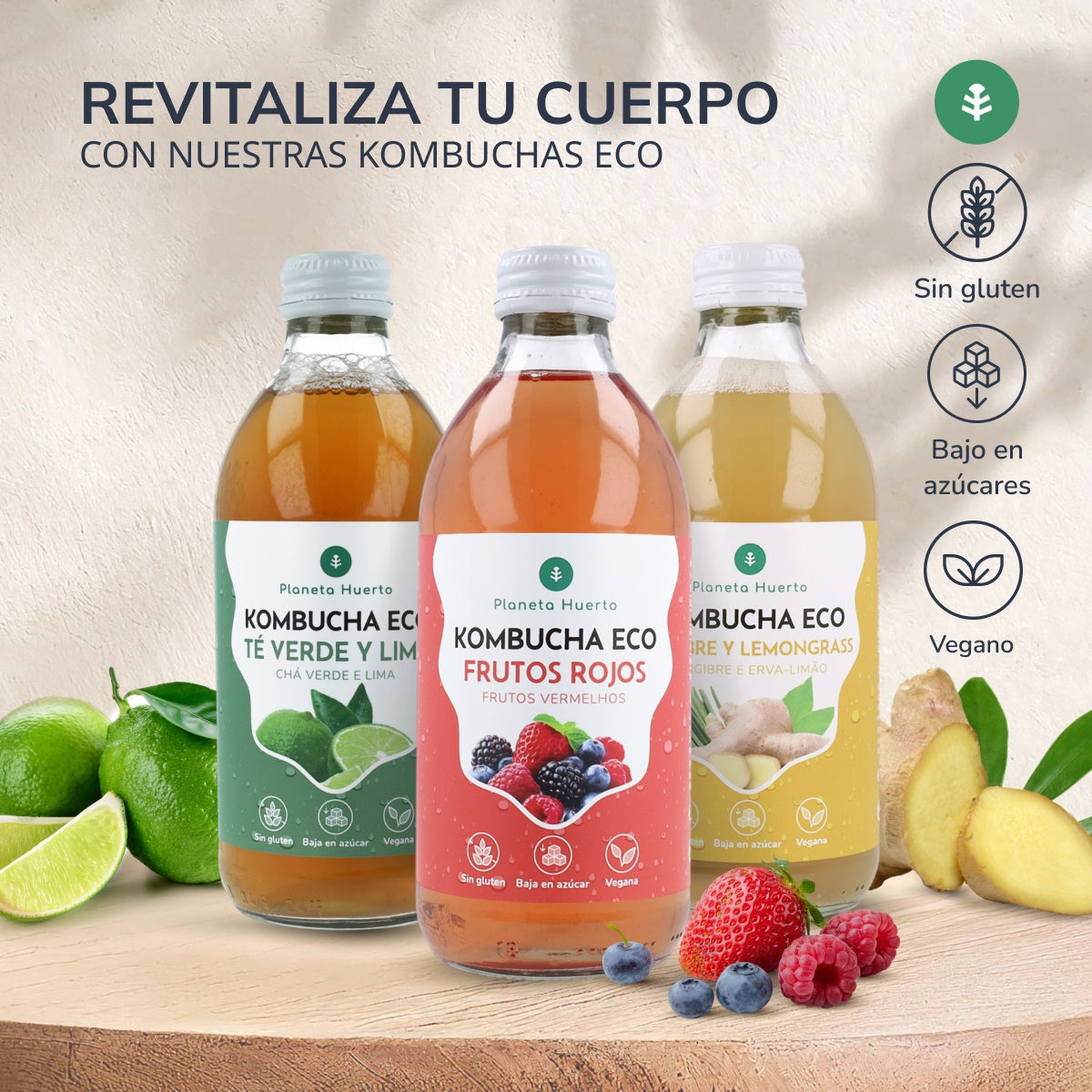 Kombucha Biológica Frutos Vermelhos Planeta Huerto 330 ml