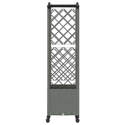Cama Elevada Con Trellis Y Techo Gris Claro 122 X 40 X 144 Cm_3