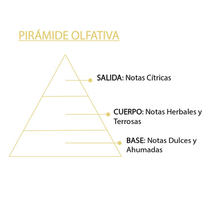 Ambientador Spray Citronela 100 Ml | Aroma Natural Antimosquitos | Frescor Inmediato | Protección Ambiental Sys Aromas_1