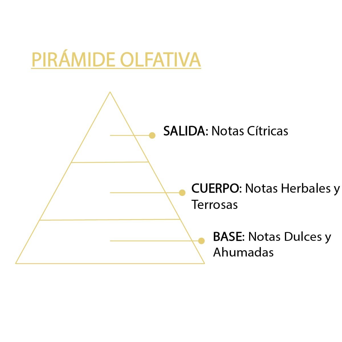 Esencia Natural Citronela SYS Aromas 12 ml | Aroma Cítrico y Herbal | Para Quemadores y Humidificadores_4