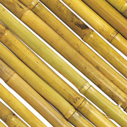 Cañizo Entero Barnizado Bambooflex 1x3 M Nortene_2