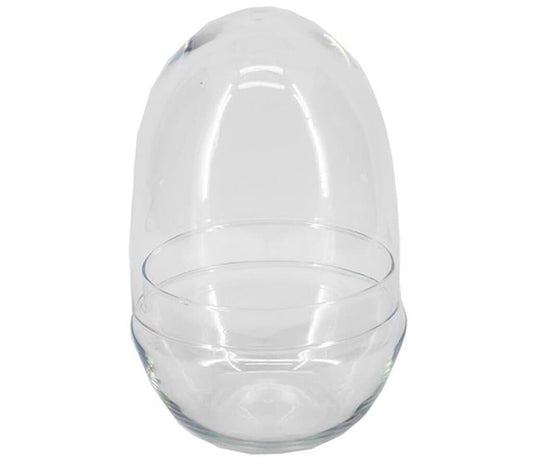 Terrario Oval D12x19.5cm_0