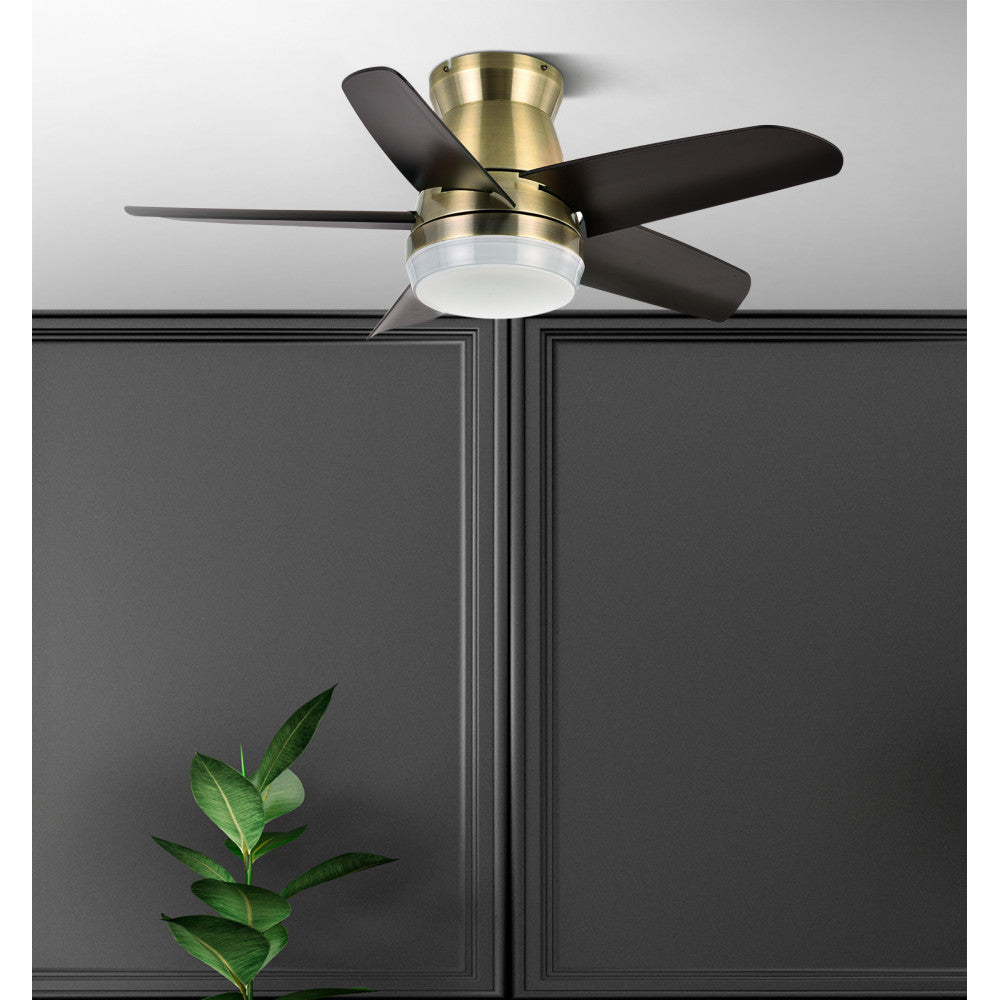 Ventilador Dc Neutron 24w 2400lm Cuero/negro 5aspas 91d 3000k,4500k,6000k, Remoto+temporizador+memoria_1