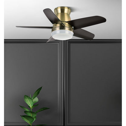 Ventilador Dc Neutron 24w 2400lm Cuero/negro 5aspas 91d 3000k,4500k,6000k, Remoto+temporizador+memoria_1