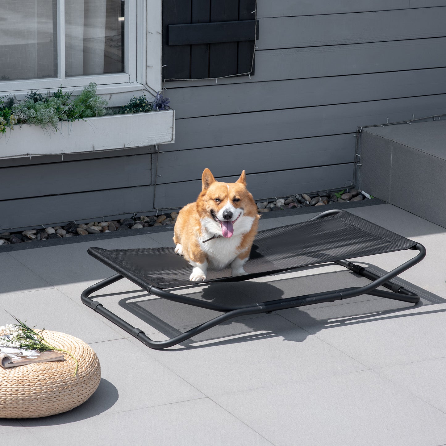 Pawhut Cama Elevada Para Perros Plegable Con Malla Transpirable 111x65,5x19cm_1