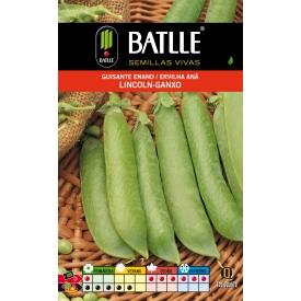 Sementes de ervilha LINCOLN Ganxo 250 g