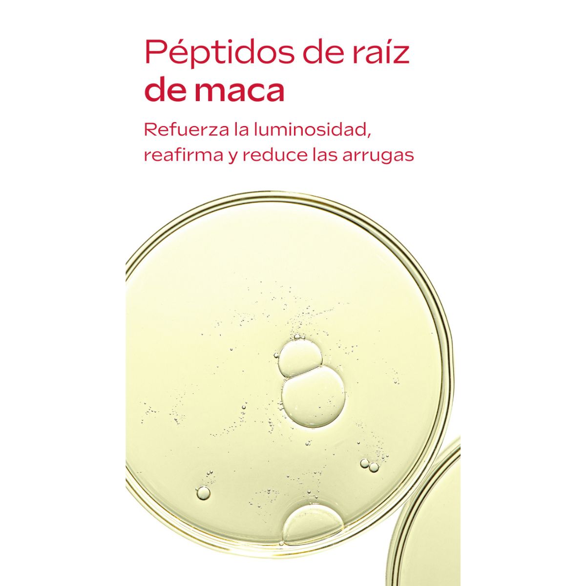 WELEDA Contorno de Olhos + Creme de Dia (40% desconto) 12ml + 40ml