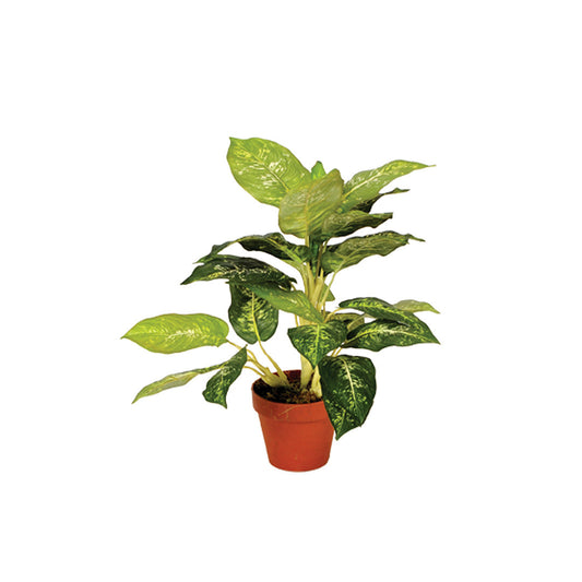 Planta Artificial Calatea Luisae - Decoración Natural Sin Mantenimiento 0.49 M / Multicolor_0