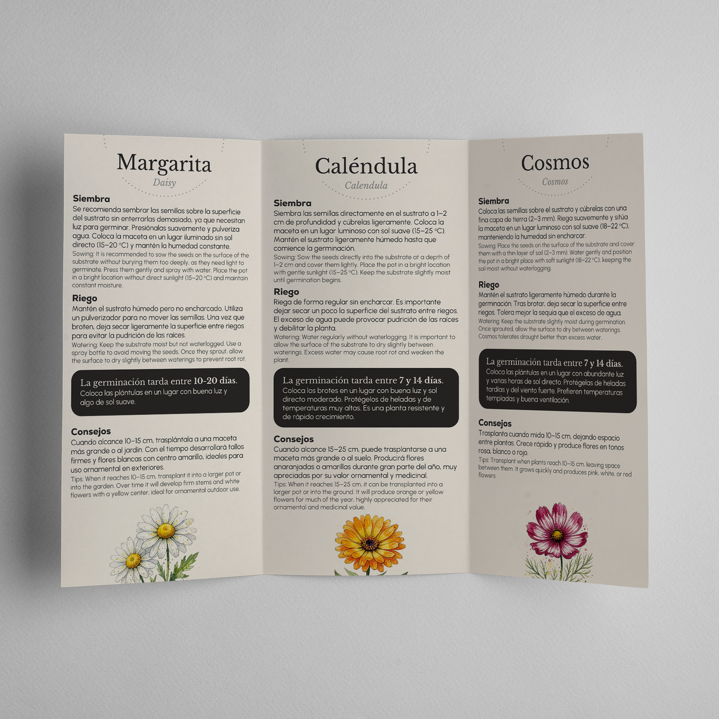 Caja Botánica: Flores "Sembrado con amor, todo florece" Planeta Huerto