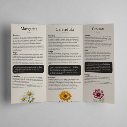 Caja Botánica: Flores "Sembrado con amor, todo florece" Planeta Huerto