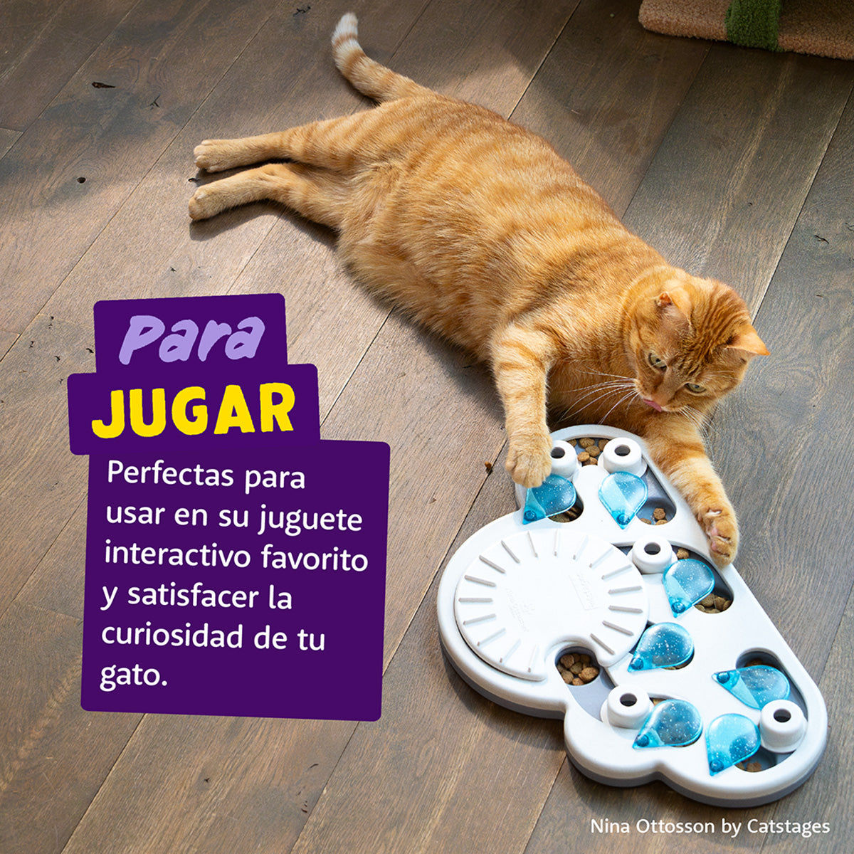 Biscoitos de Salmão Natural para Gatos Edgard Cooper 50g
