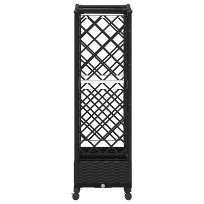 Cama Elevada Con Trellis Y Techo Negro 163 X 40 X 129 Cm Pp_3
