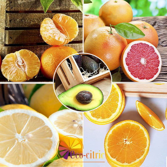 Combi Naranja, Mandarina , Limón, Pomelo Y Aguacate 10kg ecológico_0