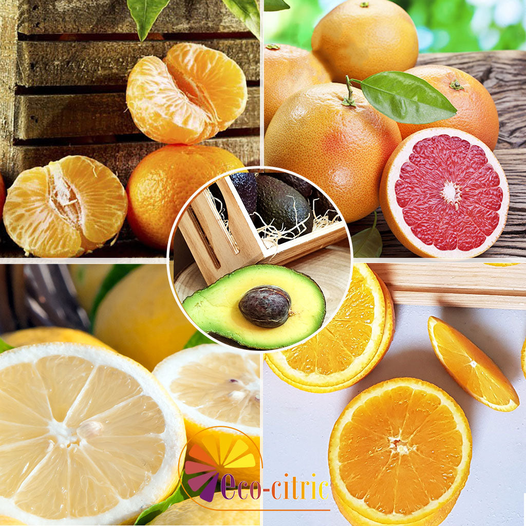 Combi Naranja, Mandarina , Limón, Pomelo Y Aguacate 20kg ecológico_0