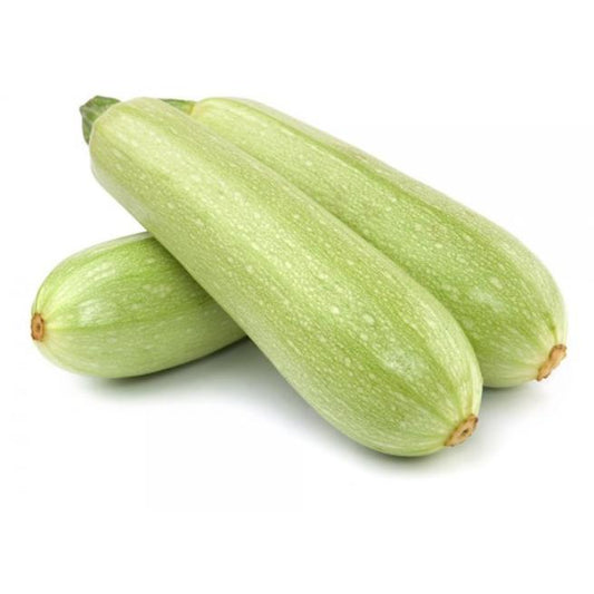 Mudas de curgete branca, 6 unidades. Linha Tradicional.