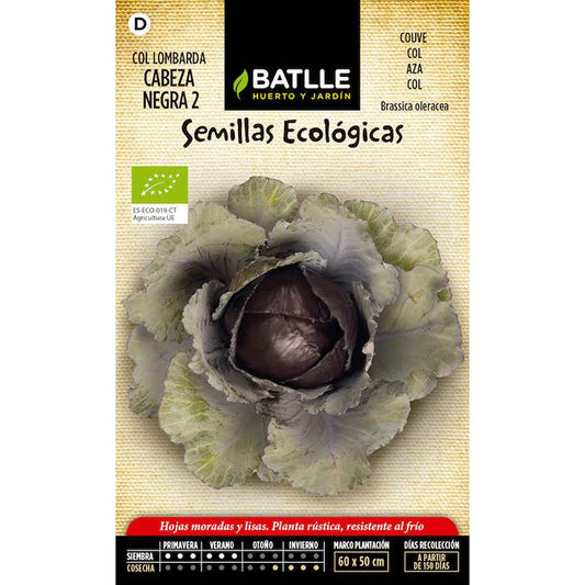 Sementes de couve roxa cravo 2 Batlle