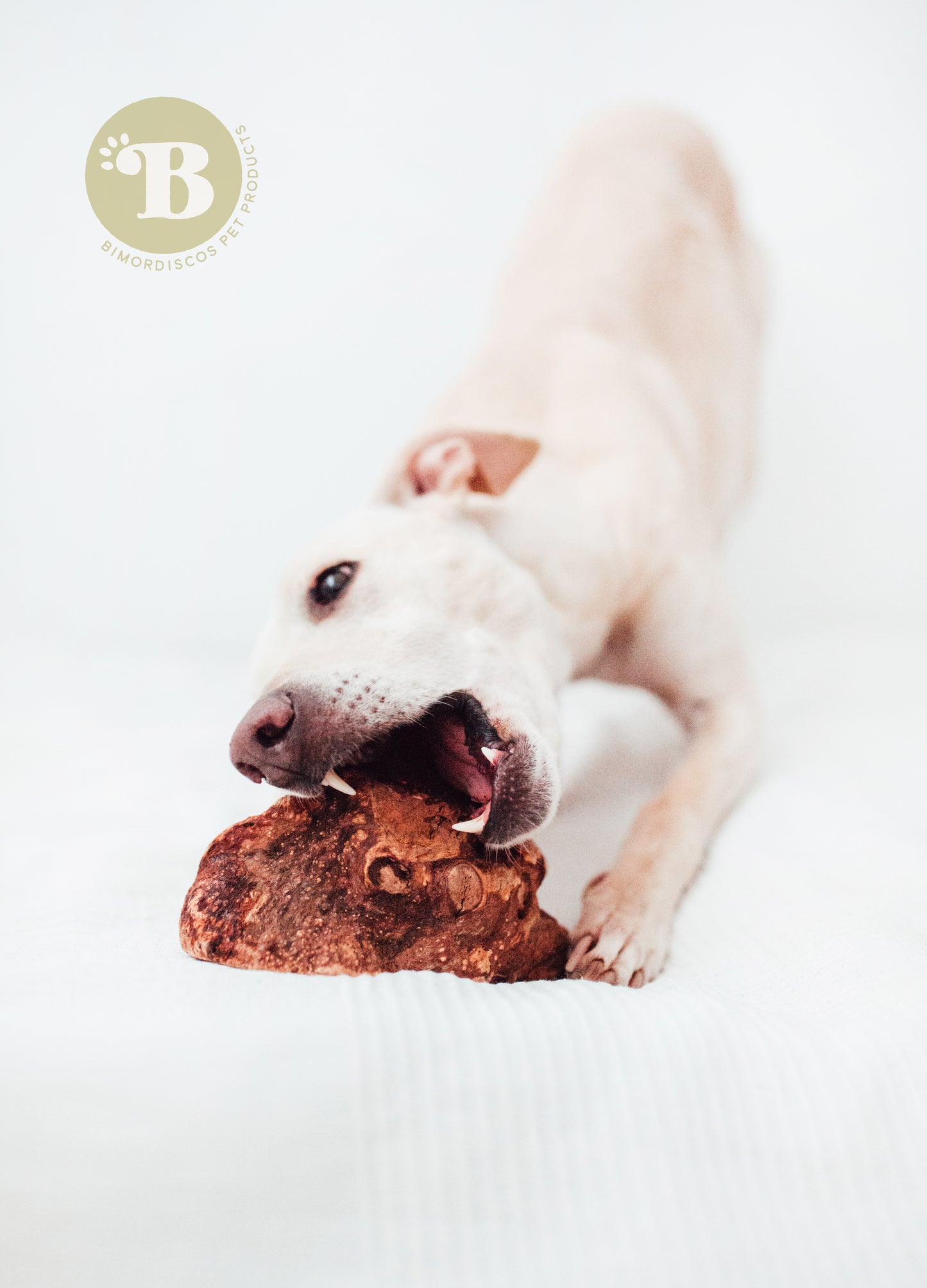 Bimordiscos Raíz De Brezo Para Perros Con Aceite De Salmón.