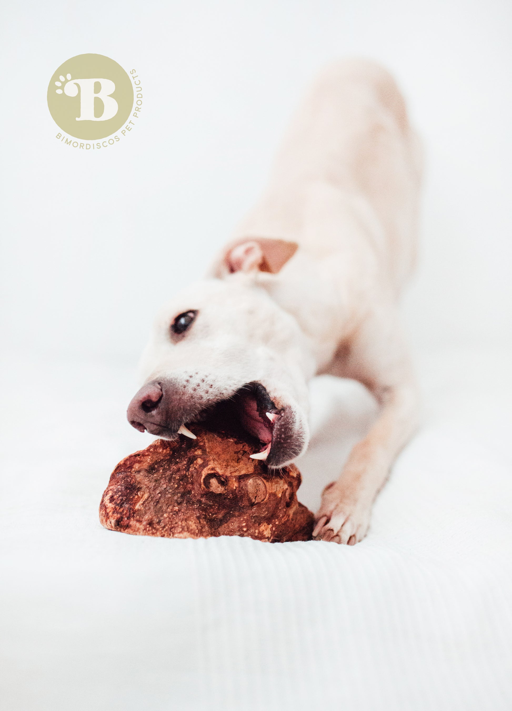 Bimordiscos Raíz De Brezo Para Perros Con Aceite De Salmón.