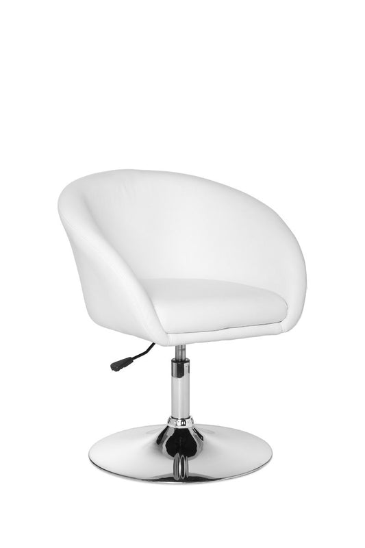 Silla Giratoria_0