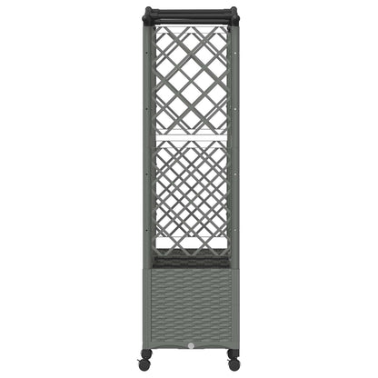 Cama Elevada Con Trellis Y Techo Gris Claro 163 X 40 X 144 Cm_3