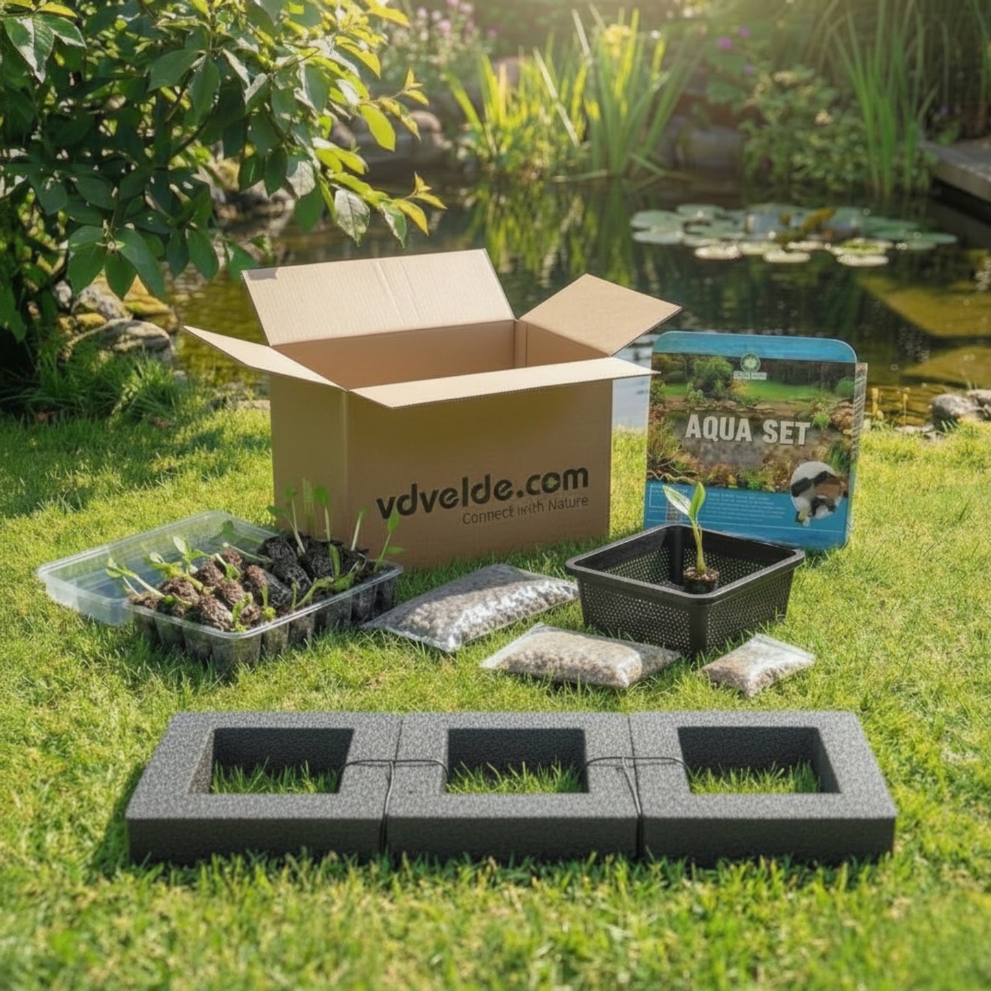 Set Isla De Plantas Estanque 3 Piezas - Set Completo Con 12 Plantas_3
