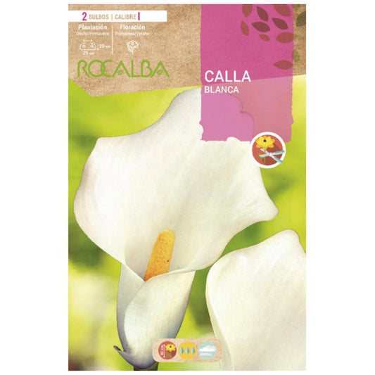 Bolbo de Calla Branco 2 peças Rocalba