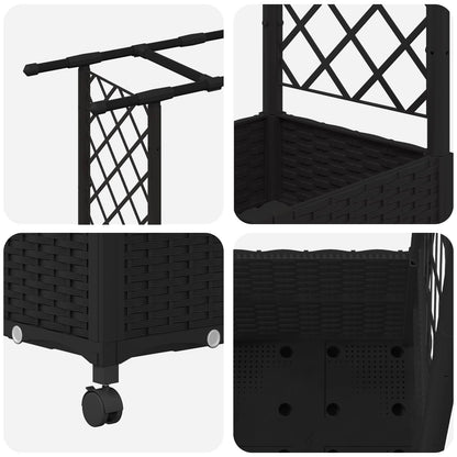 Cama Elevada Con Trellis Y Techo Negro 124,5 X 40 X 142 Cm Pp_5