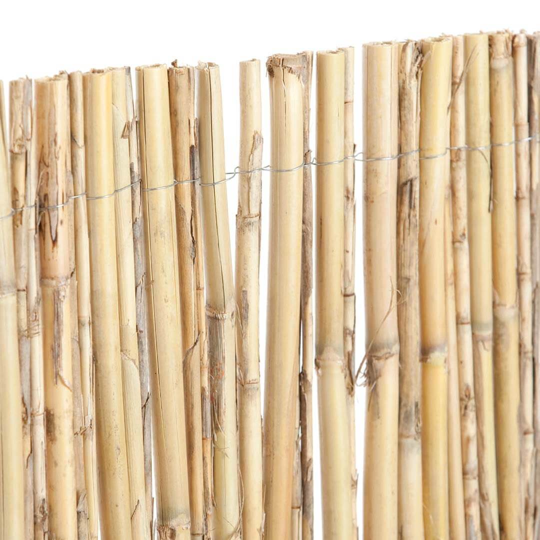Cañizo Entero Natural Excelcane 1,5x5 M Nortene_0