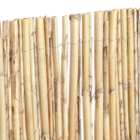 Cañizo Entero Natural Excelcane 1x5 M Nortene_0