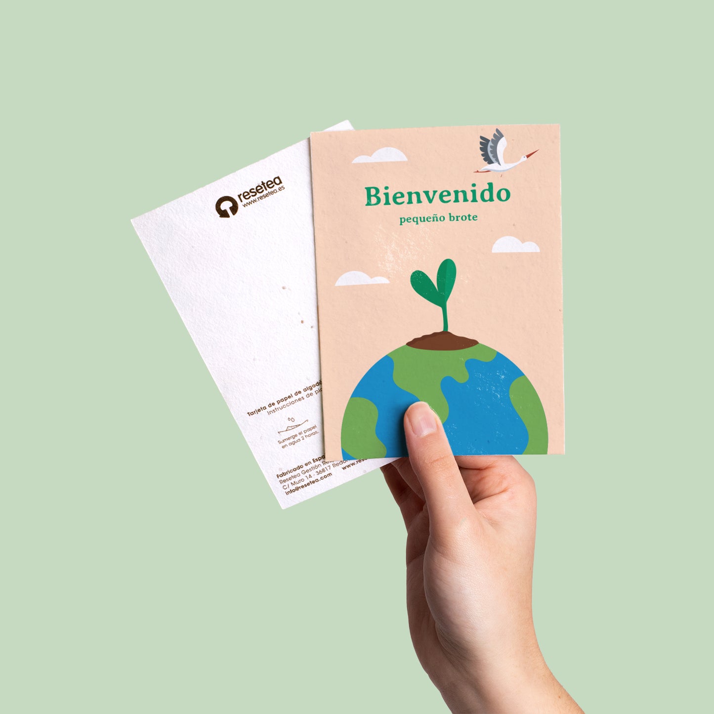 Postal Plantable Bienvenido con Semillas de Zanahoria – Regalo Original para Recién Nacidos - Resetea_3