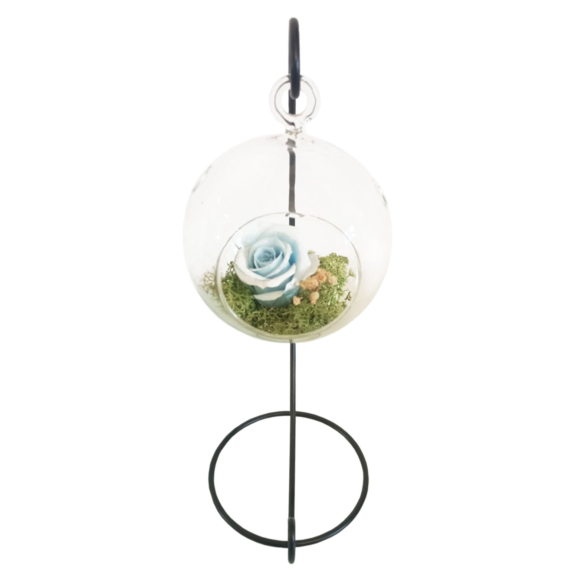 Rosa Eterna - Colgante Azul_2