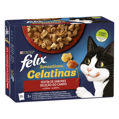 FELIX Sensations Festa de Sabores em Gelatina 12 x 85 g