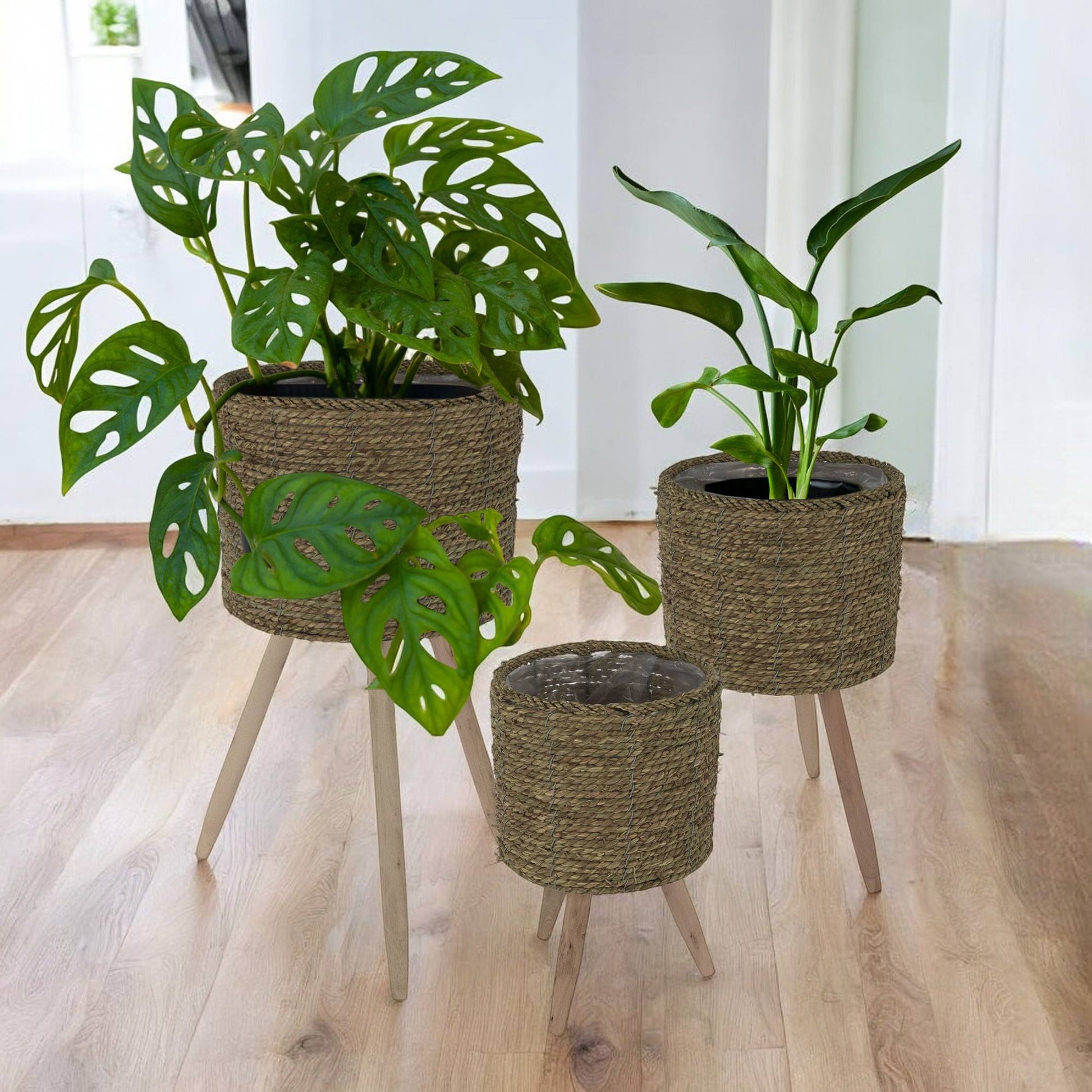 Well Home Set 3 Maceteros Ø22ø26ø30cm_5