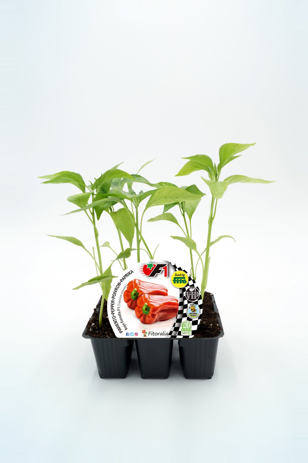 Pack plantones pimiento estrella rojo Híbrido 6 Ud. natural- Fitoralia_0